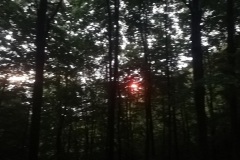 IMG_20210920_064733