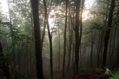 IMG_20210920_065821