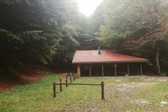 IMG_20210920_074510
