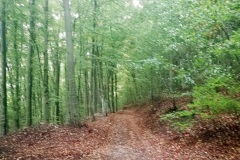 IMG_20210920_075320