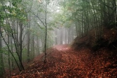 IMG_20210920_080035
