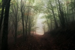 IMG_20210920_080345
