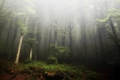 IMG_20210920_080518