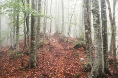 IMG_20210920_082448