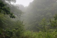 IMG_20210920_084353