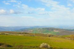 1-29-Crocione