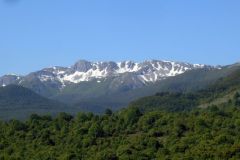 DSCN1919