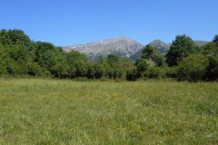 DSCN1922