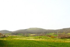 DSCN0670