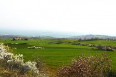 DSCN0675
