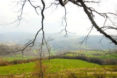 DSCN0683