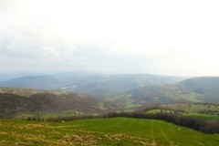 DSCN0685