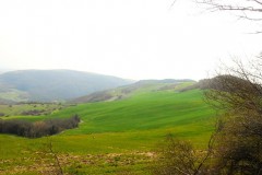 DSCN0686