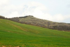 DSCN0687
