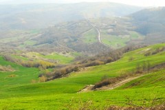 DSCN0688