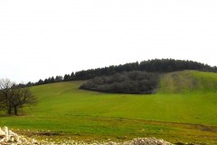 DSCN0690