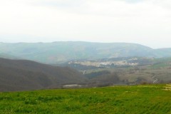 DSCN0691