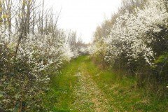 DSCN0695