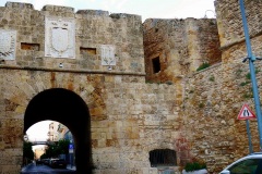 P1150753