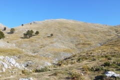 DSCN0077
