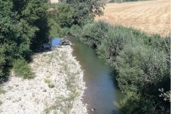 Ofanto