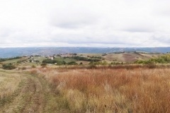 11_Tufo