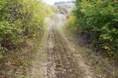 24_colle-Matteo