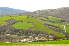 DSCN0650