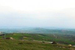 DSCN0652