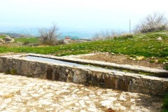 DSCN0656