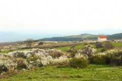 DSCN0662