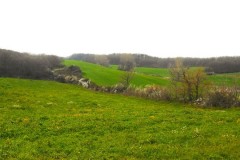 DSCN0663