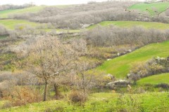 DSCN0665