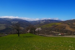 P1030661