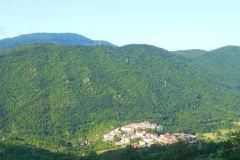 DSCN1014-ridotto