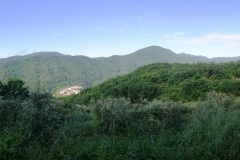 IMG_20230611_075455