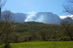 DSCN1427