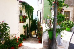 Cercemaggiore-particolare-1