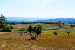 Costa-della-Guardia