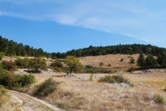 Monte-Saraceno-fortificazioni-sannitiche-2