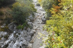 DSCN0143