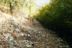 DSCN0149