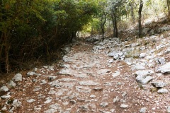 DSCN0150