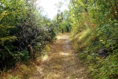 DSCN0151