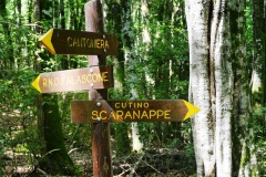 zona-scaranappe-1