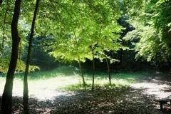 zona-scaranappe-2