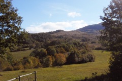 17_bosco-della-Difesa