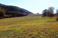 20_Lamacchione