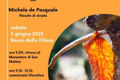 3 giugno 2023 - 1