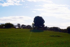 P1150283